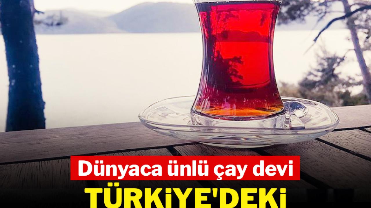 Otomatik Taslak