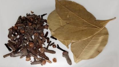 Bay Leaf and Clove Tea: A Cozy Two-Ingredient Remedy for Digestion and Calm