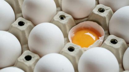 Why Morning Eggs May Be the Health Upgrade Your Body Has Been Missing