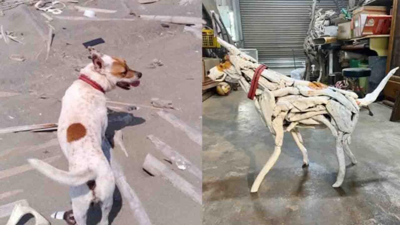 A Driftwood Goodbye: Artist Honors His Late Dog With a Sculpture Built From Their Shared Adventures