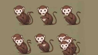 How Many Monkeys Can You Spot? The Viral Optical Illusion That Says More About Perception Than Personality