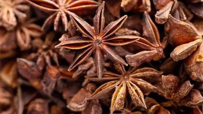Put Star Anise on Your Windowsill Today: The Surprising Home Secret More People Are Discovering