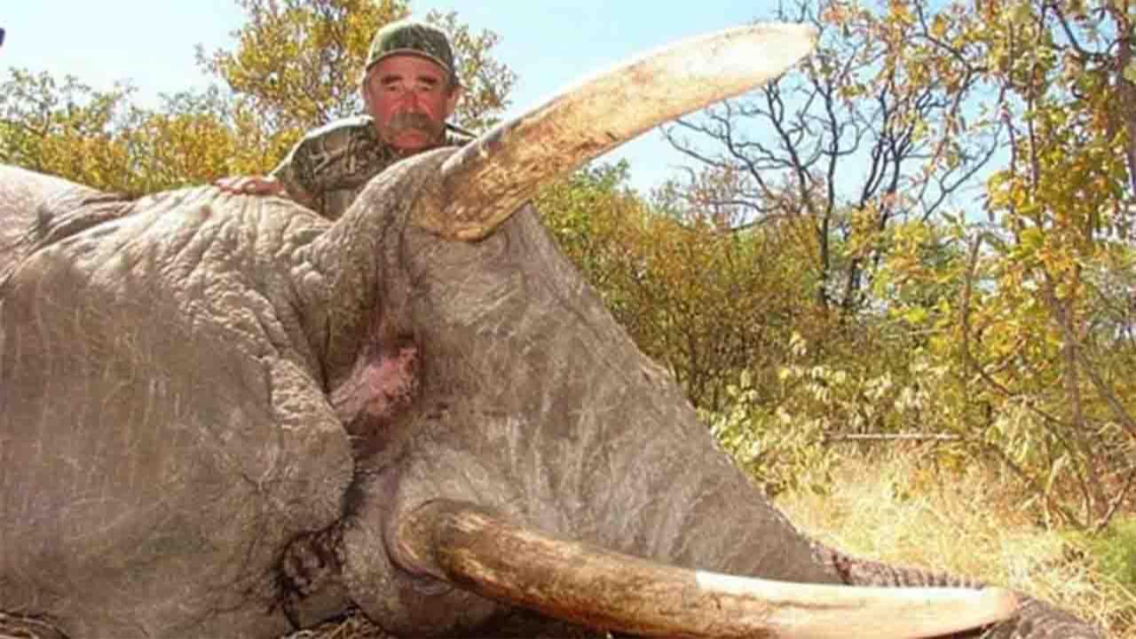 US Millionaire Hunter’s Final Expedition Ends in Deadly Elephant Encounter in Gabon