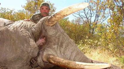 US Millionaire Hunter’s Final Expedition Ends in Deadly Elephant Encounter in Gabon