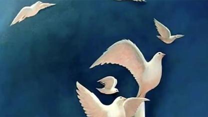 Which Dove Caught Your Eye First? Discover What Your Attention Might Reveal