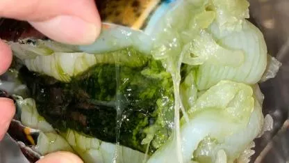 The Truth About Lobster Tomalley: Is the Green Stuff Safe to Eat?