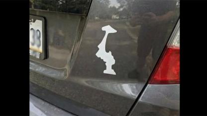 Why Are Drivers Displaying Upside-Down Washington State Stickers? The Story Behind This Growing Trend
