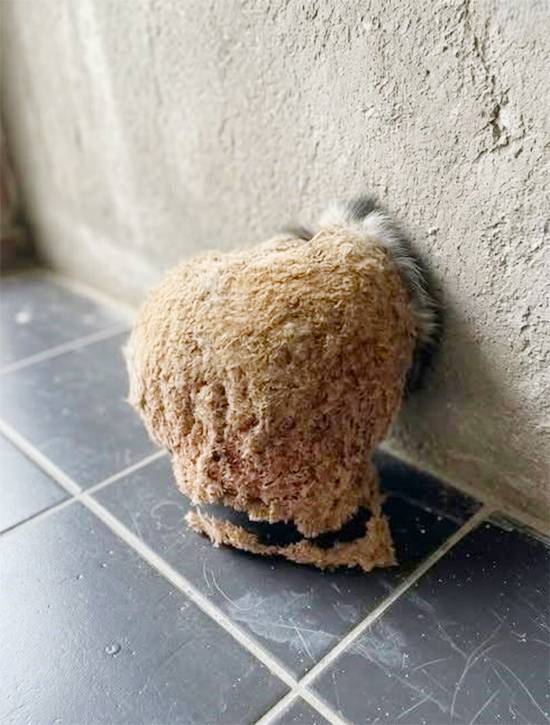 We Came Home to a Mysterious Bathroom Discovery—and the Truth Surprised Us