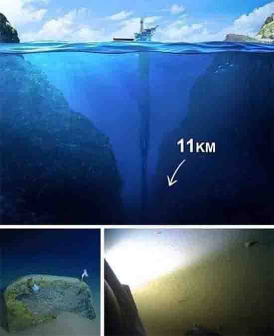 Plastic Bag at 35,000 Feet Deep: The Mariana Trench Discovery That Shocked the World