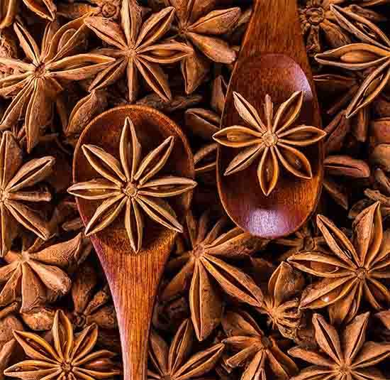 Put Star Anise on Your Windowsill Today: The Surprising Home Secret More People Are Discovering